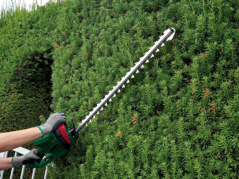 TAILLE-HAIE ÉLECTRIQUE 650 W - Image 2