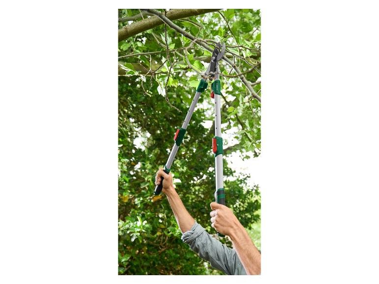 Coupe-branches télescopique - Image 5