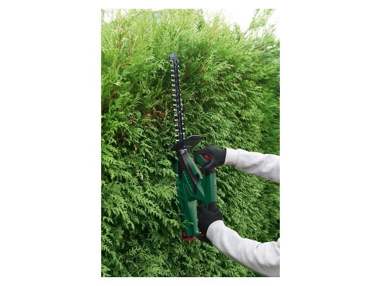 Taille-haies sans fil PHSA 12 B1, 12 V - Image 4